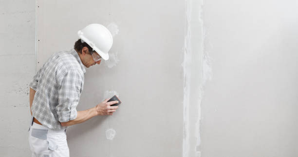 Trusted Washington Heights, NY Mold Removal Experts