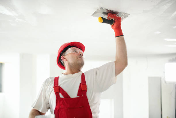 Best Real Estate Mold Inspection  in Washington Heights, NY