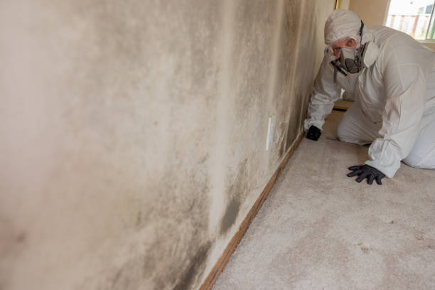 Best Comprehensive Air Testing for Mold Contaminants  in Washington Heights, NY