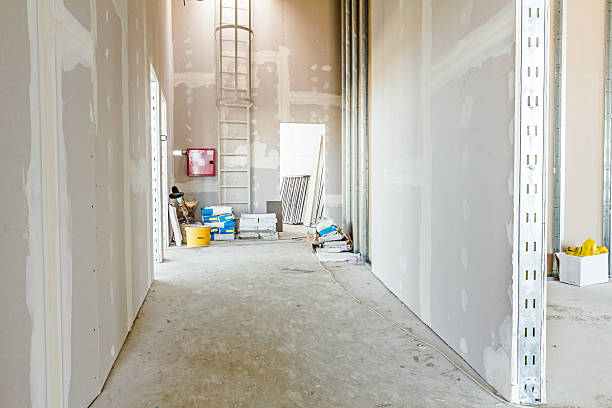 Best Biohazard Mold Removal  in Washington Heights, NY